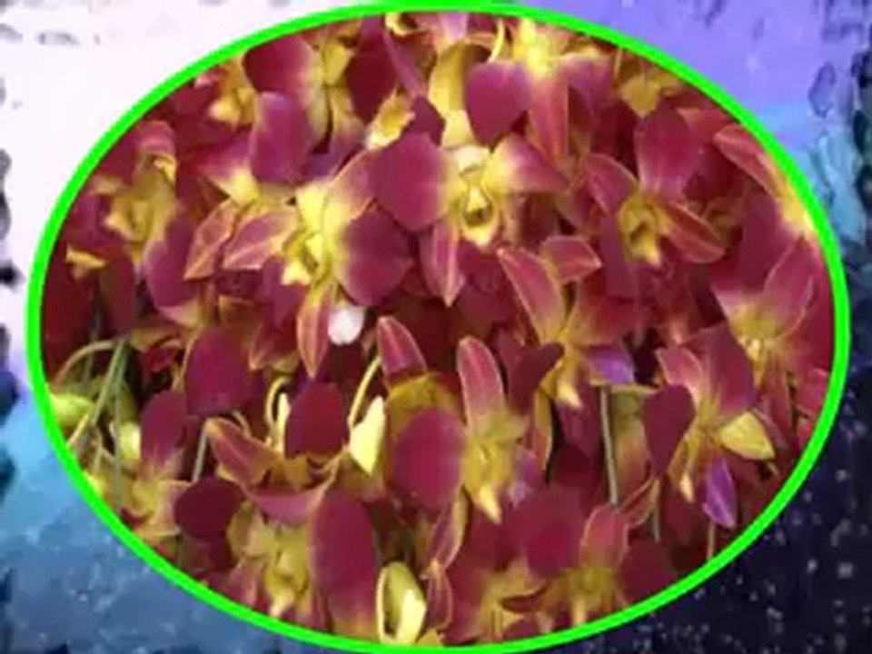 ABDÜLKADİR BADILLI'YA CEVAP - 1