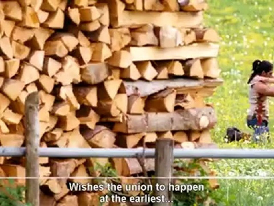 Badrinath (2011) - Nachchavura [HD]