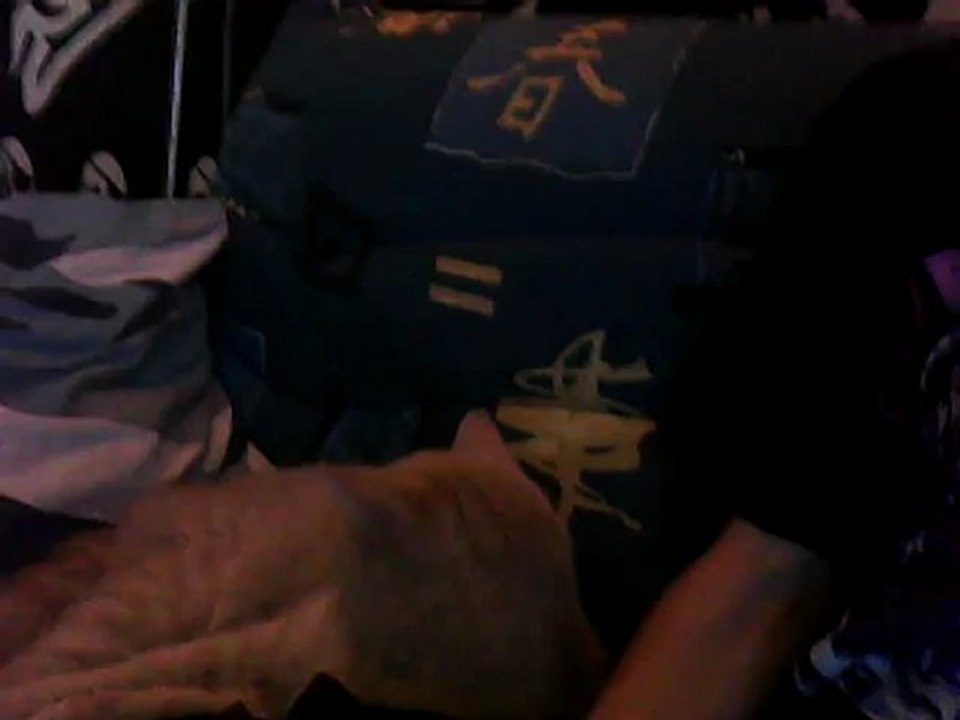 MON CHAT