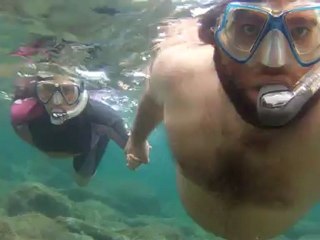 Petit coucou de banyuls