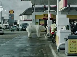 A Homeless Polar Bear in London