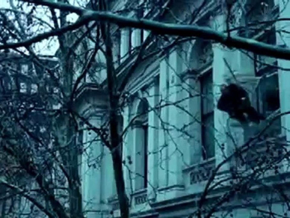 Kinotipps der Woche vom 27. Oktober 2011