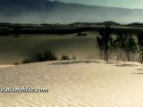 Stock Video - Dunes clip 11 - Stock Footage - Video Backgrounds