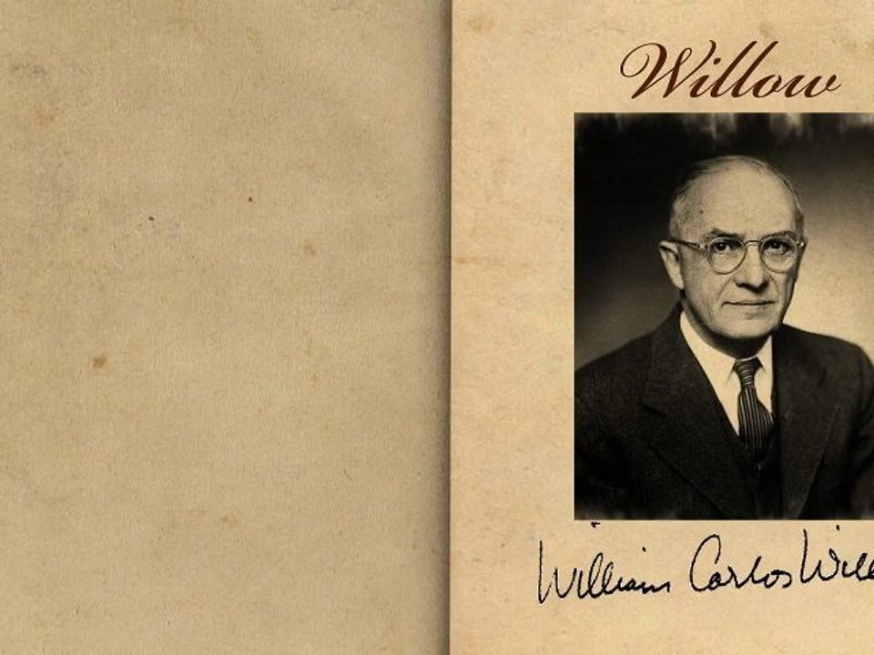 Willow by William Carlos Williams Poetry Reading video Dailymotion