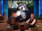 Jesse Tyler Ferguson on Ellen