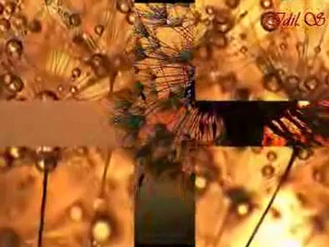 Seyyal Taner Duyulurmu