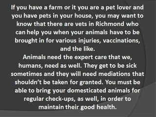 The Importance Of Finding Vet Clinics Near You