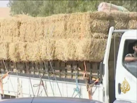 حركة العائدين عبر الحدود التونسية الليبية