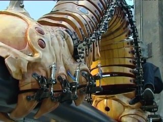 Carrousel des mondes marins de Nantes : la construction