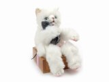 Peluche chaton blanc boite   souris 30 cm