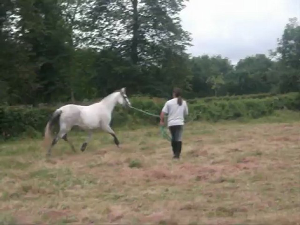 Nina première longe à la maison