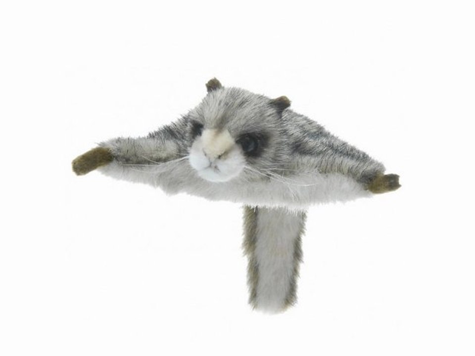 Peluche écureuil volant 22 cm