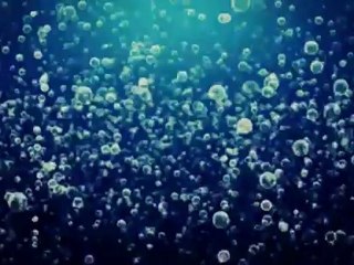 Houston Storm Flooding Clean Up