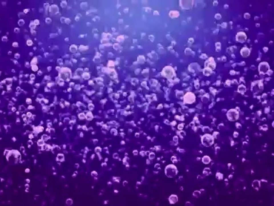 St. Claresville Storm Flooding Clean Up