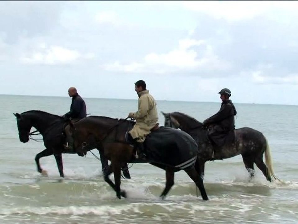 Cheval Equitation préparation jeux olympiques épisode 4