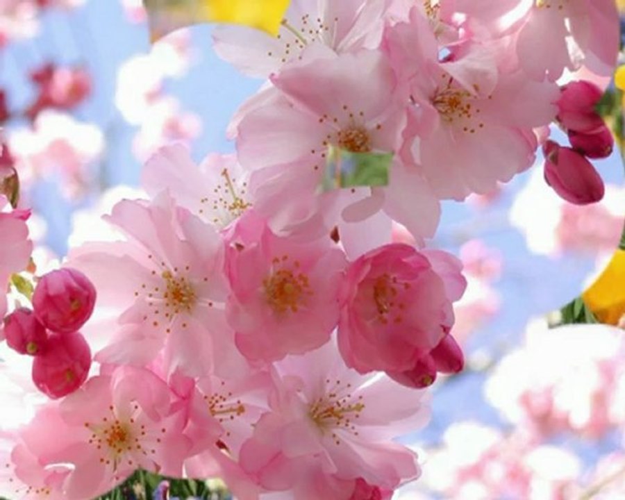 Prowadź mnie do gwiazd - Izabela S