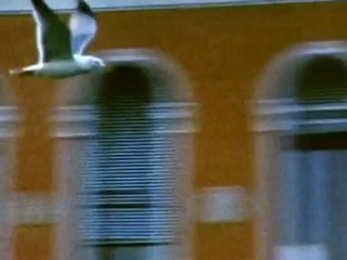 Hyères 2012: visite guidée des expositions