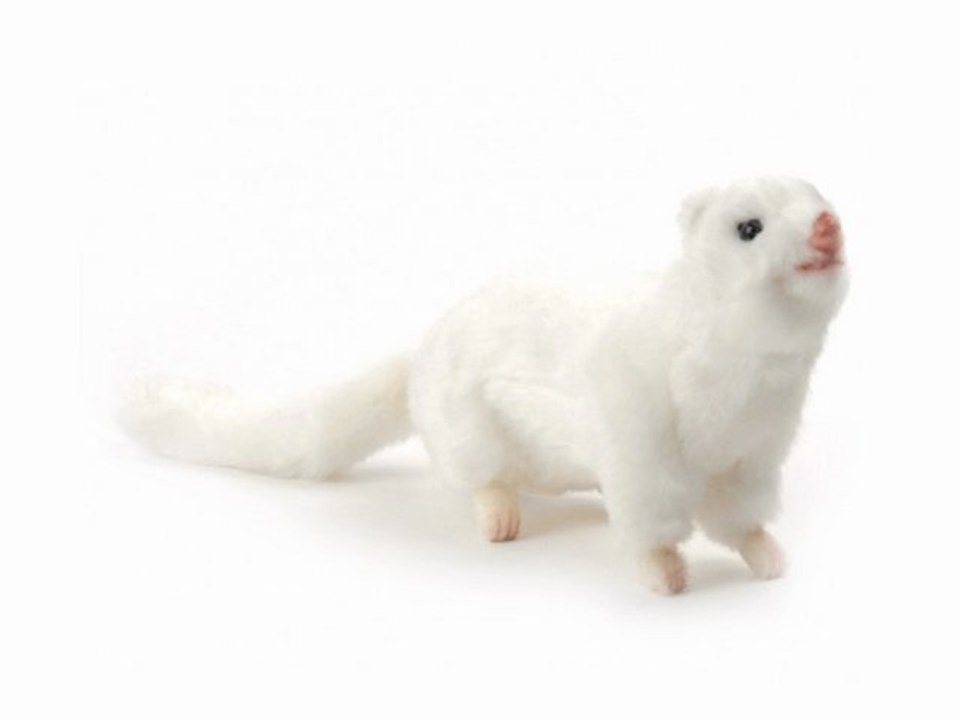Peluche furet blanc 23 cm