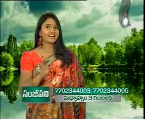 Aamani - Tollywood Hit Songs Special - 02