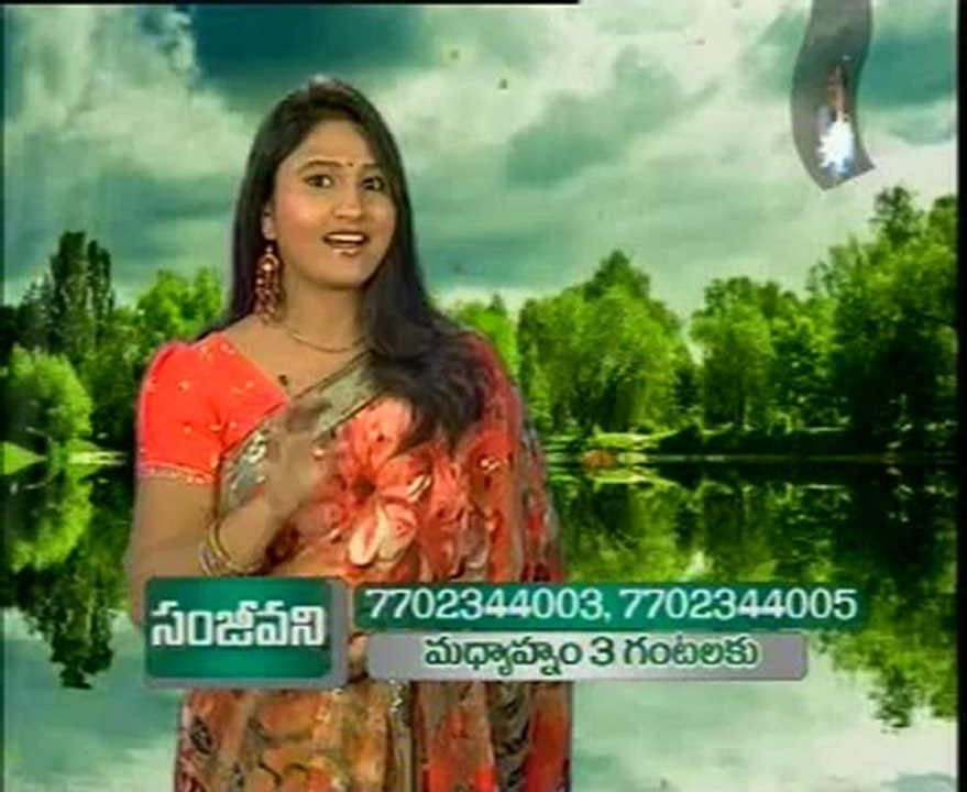 Aamani - Tollywood Hit Songs Special - 02