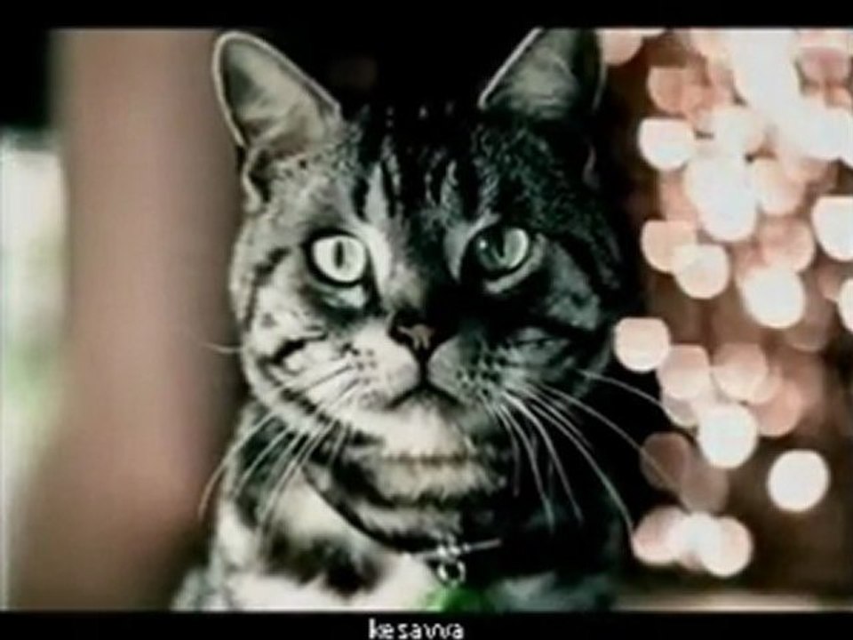 Bacardi Breezer advert