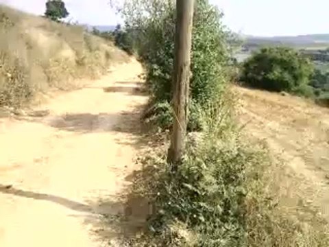 HAZER EMLAK TEL: 0546 851 6657 KANDIRA KAYNARCA SATILIK ÇİFTLİK ARAZİSİ