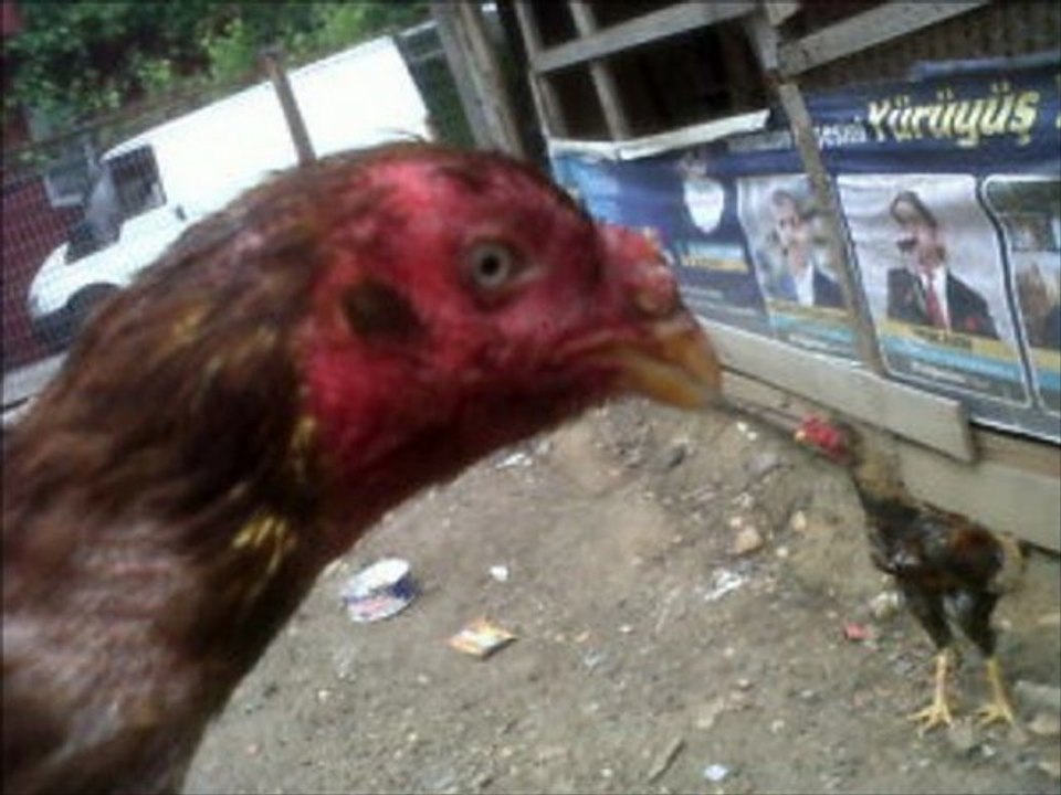 SAKARYA SATILIK ARAZİ HAZER EMLAK TEL: 0546 851 6657 SAKARYA SATILIK ARAZİLER