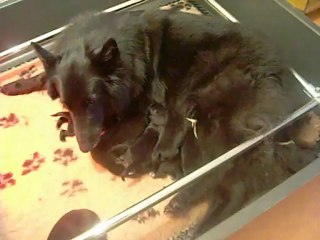 13 07 2012 : 2 jours