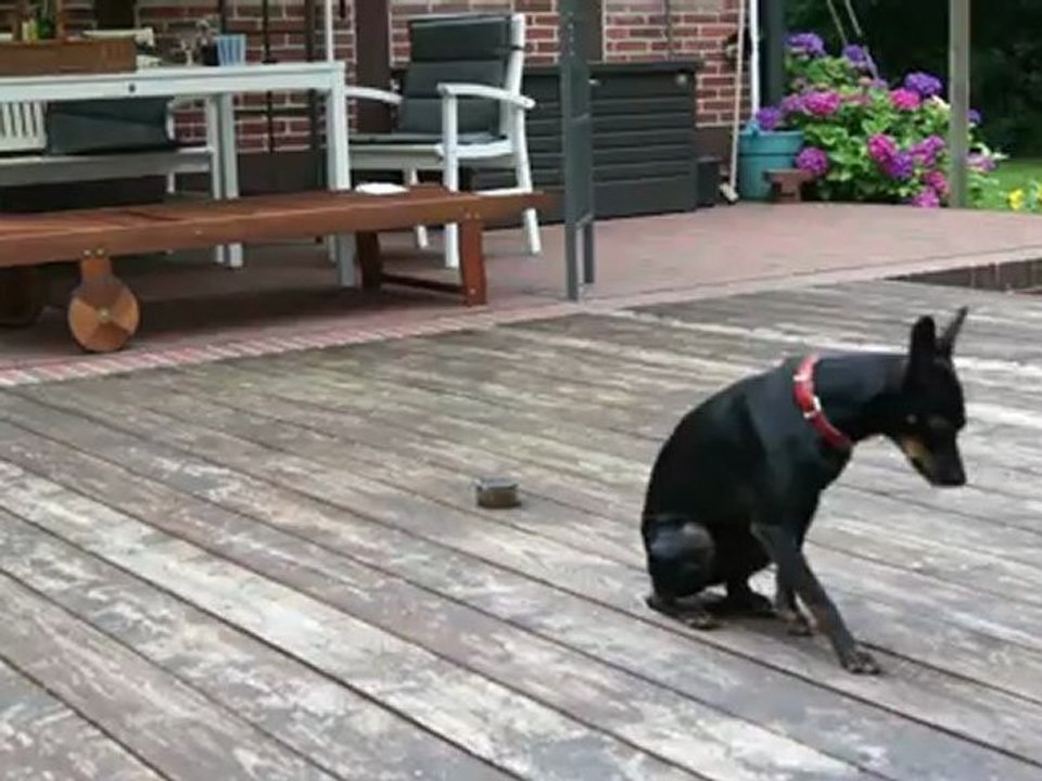 Sammy macht ' Schlaf'