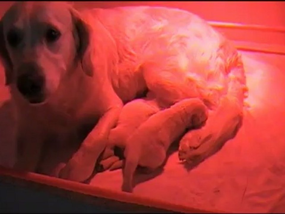 Premiers pas Hijo et Hija