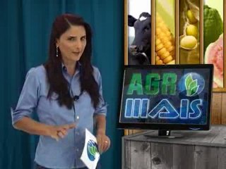Agro Mais do dia 13-07-2012