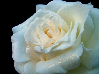 Bir fidan olsam toprakta