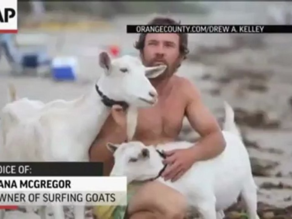Las cabras surfistas de California