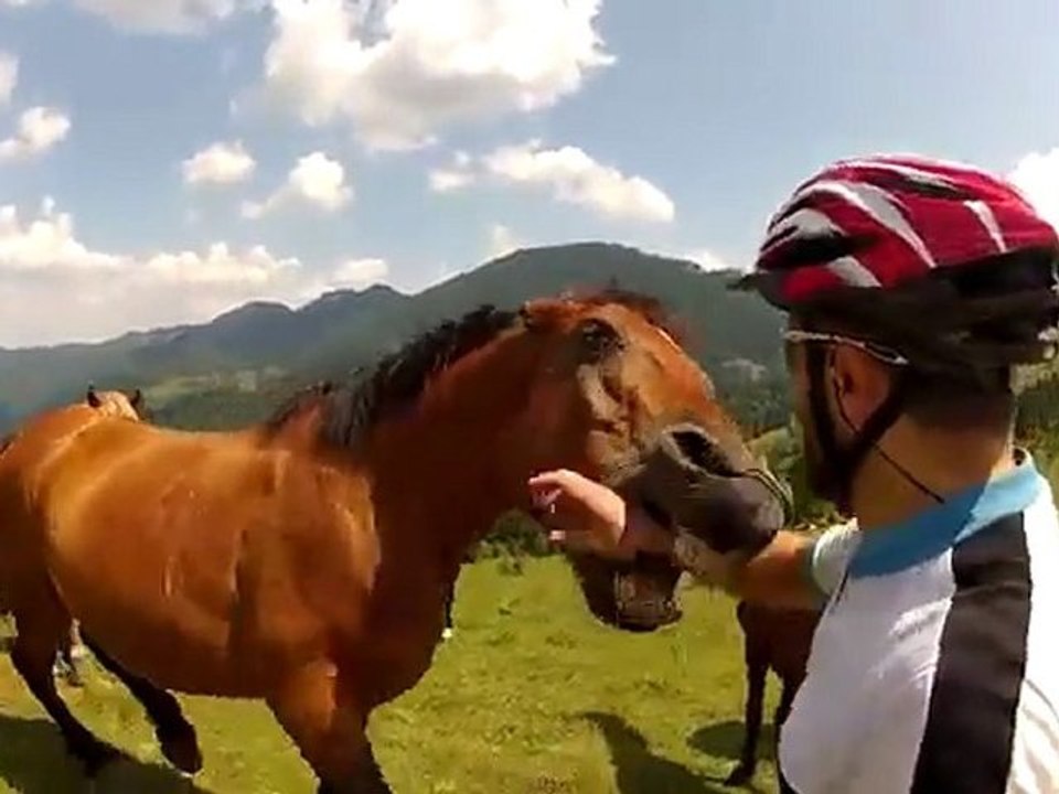 Cycliste vs Cheval