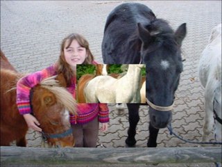 Les Trois Mènestrels -Poney mon ami (1956)