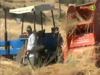 WARGEH~Şirnex~ Gundikê Mellîyê ye û jiyana çandinî û malbatî bi her awayî ve dide nasandin.