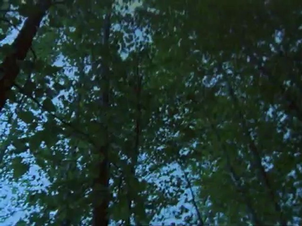 Huckleberry Finn E05 - The Pirates