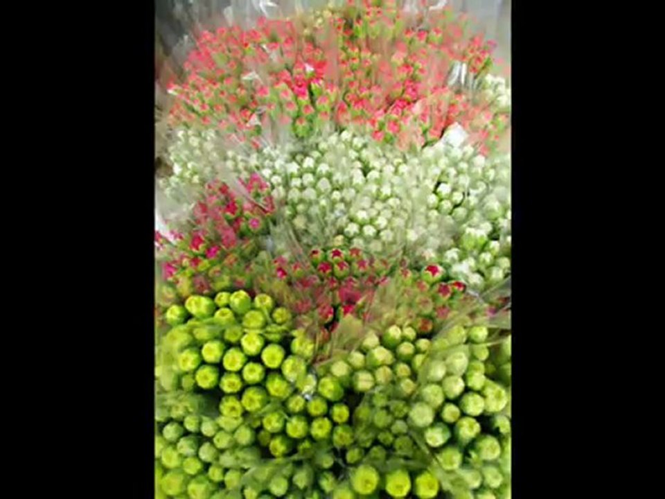 0707-0708 金馬倫之旅