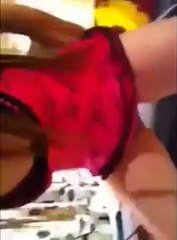 Panpiş Bu Kez Abarttı