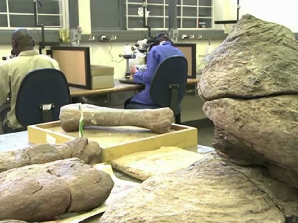 2 Millionen Jahre alt und fast komplett: der Vormensch 'Karabo'