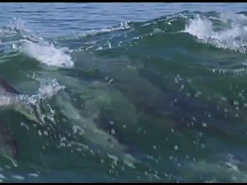 erghen deda hip hop remix - The magic of Bulgarian voices & music