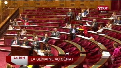 LE 19H,Invités : Damien Philippot et Claude Estier