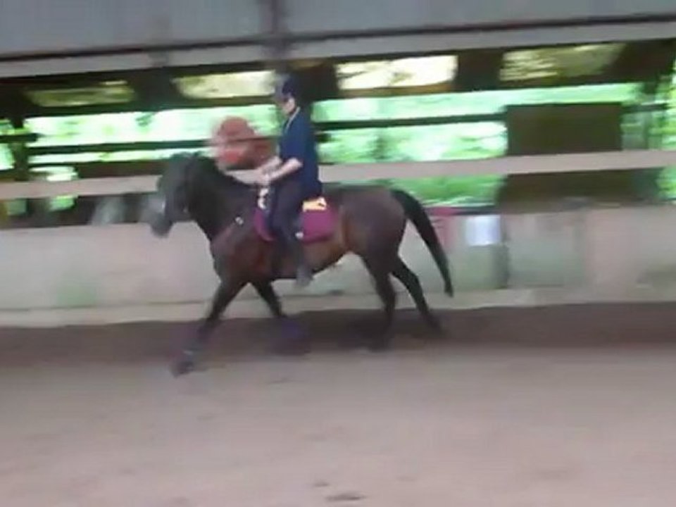 Galop assis (3)