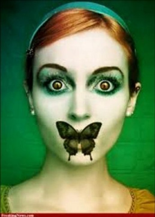 Joli Papillon