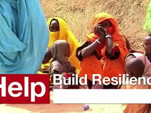 Niger hunger appeal- Irish red cross