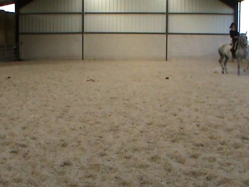 galop hanches en dedans M2U03954