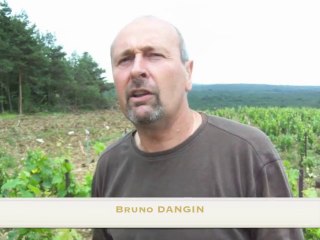 Domaine Bruno Dangin. Crémant de Bourgogne Biologique. Le palissage. TV Bio'Bulle. 4/8.