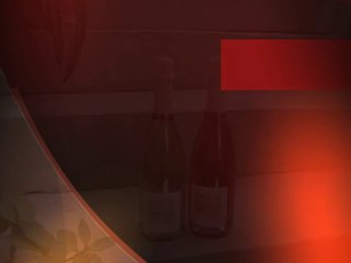 Cours de Dégustation 1/5. Introduction. Crémant de Bourgogne Biologique Bruno Dangin. TV Bio'Bulle.