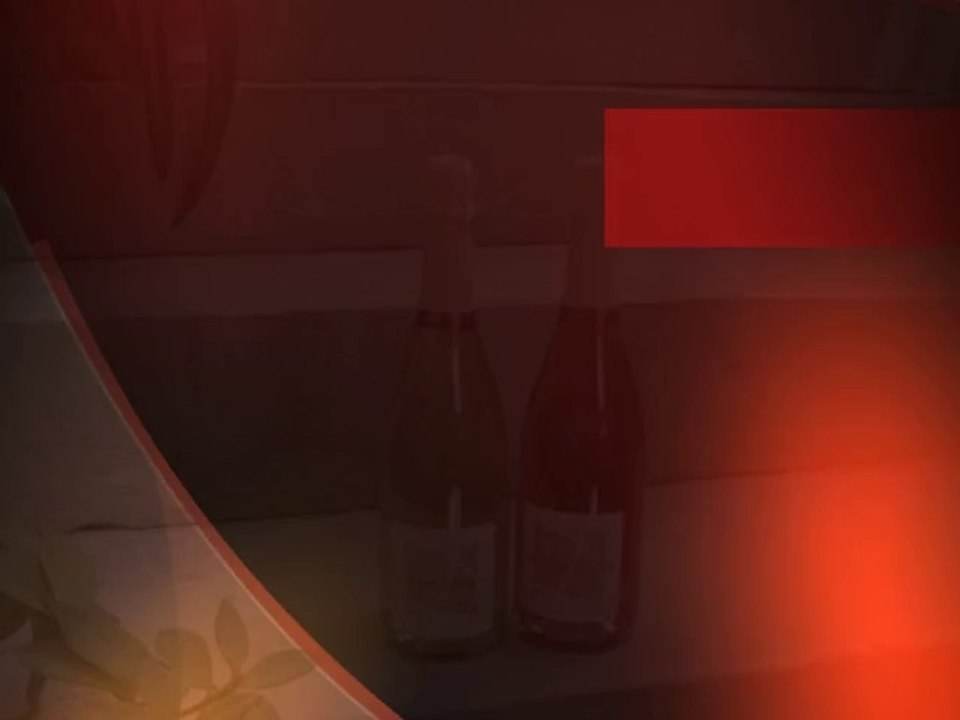 Cours de Dégustation 1/5. Introduction. Crémant de Bourgogne Biologique Bruno Dangin. TV Bio'Bulle.