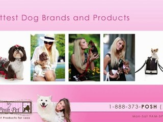 My Posh Pet | Luxury Pet Products for Less | www.MyPoshPet.com